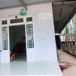 Bán nhà mt thôn 8 - đạt lý hoà thuận, 7x28 sẵn nhà c4 xây kiên cố