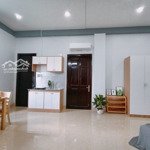 Căn hộ 35m2 đẹp full nt cao cấp mới, ngay mt đs 9, free xe, giờ tự do