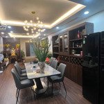 Bán cc platinum số 6 nguyễn công hoan,diện tích118m2 3 phòng ngủfull đồ đẹp - view triệu đô, liên hệ: 0988138345