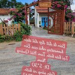 Bán đất đối diện home stay " nhà của bin " núi thành, quảng nam chính chủ