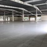 *cho thuê kho xưởng, mặt bằng *3300m2 ql 51, tam phước, biên hoà, đồng nai