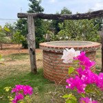 Bán căn nhà vườn tâm huyết của gia đình tại xã cư ebur - tp buôn ma thuột - đắk lắk