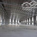 Cho thuê xưởng 5000m2, 10.000m2, 20.000m2 mới xây dựng