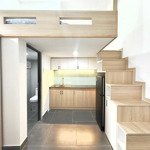 Duplex mới toanh, nội thất đẹp, cửa sổ lớn,... hoàng hoa thám bt