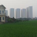 Chủ gửi bán 97m đất mặt tiền 11m Thái Bình Mai Lâm Đông Anh giá 5 tỷ có thương lượng
