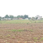 330.000m2 (33 ha) đất cln kinh doanh sản xuất ( 195 triệu/ 10.000m2)