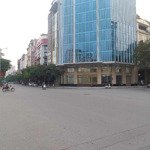 Bán căn hộ ccmn, apartment cho thuê quận cầu giấy 70m2, 7 tầng, mt 6m 14,5 tỷ.