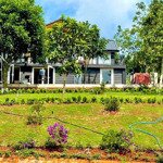 Bán homestay nghỉ dưỡng, dt gần 1000m có 200mtc cạnh các khu du lịch