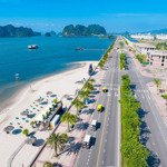 đất nền biệt thự đường bao biển mặt vịnh bái tử long, safabay - dự án đầu tư tốt nhất thời điểm này