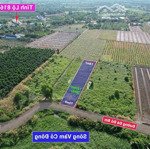 1200m² đất vườn mt sông vàm cỏ đông