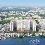 Buôn Sổ Shophouse Green River Quận 8 Chỉ Từ 5,8 Tỷ - S 151M2 - Sở Hữu Lâu Dài.