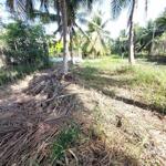Bán nền lẻ 320m2 đất vườn dừa bằng phẳng ko mương chỉ 599 triệu