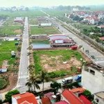 đất biệt thự đấu giá xa mạc - liên mạc - mê linh