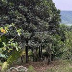 đất vườn cây ăn quả 620m2 thôn đại la - đà nẵng