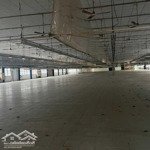 Cho thuê xưởng nguyễn văn bứa xuân thới thượng. dt 10.000m2