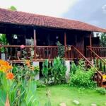 Bán nhà vườn đang làm homestay, diện tích : 5647m2 cln 0822211968 trương minh nhật