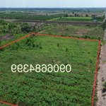 Bán đất vườn thủ thừa long an 17.000m2