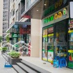 Cho thuê căn shop nội khu s4 vinhomes smart city. dt 48m2, giá 25 triệu/tháng