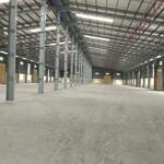 Cho thuê kho xưởng kcn vinatex nhơn trạch, đn. dt từ 1000m2 -10.000m2.