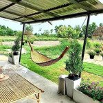 Bán lô đất vườn ở hòa ninh, hòa vang. dt hơn 14.000m2 sẵn vườn trái cây lâu năm ao cá nhà cửa