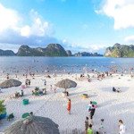 Bán lô đất nền dự án safabay cẩm phả view biển cực đẹp đối diện trước nhà là công viên giá bán 45 triệu/m