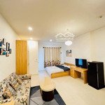 Nhà như hình, cho thuê căn hộ 1 phòng ngủ sunrise city view giá bán 11, 5 triệu