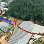 Giá quá tốt cho 1000 m2 lên được thổ cư tại mặt tiền chính điện biên phủ