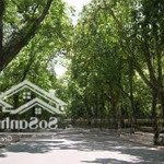 Bán nhà phố hà nội, 210m2, 9 tầng, mt 7,5m, 105 tỷ ngay liễu giai, kim mã thượng, châu long