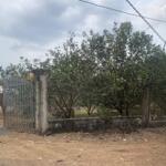 Bán nhà vườn cây ăn trái có trại chăn nuôi tại thống nhất đồng nai