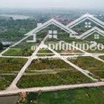 Chính chủ bán 118,5m2 đất đấu giá đồng phươm, thọ lộc phúc thọ giá đầu tư 22, 5 triệu/m2