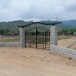 Bán 4300 m2 đất trồng cây lâu năm sổ hồng đường ô tô tại hòa vang !