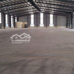 Cho thuê mặt bằng kho mặt tiền quốc lộ 1a, 3000m2