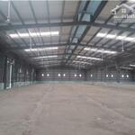 Cho thuê xưởng 3500m2 (xd: 2400m2) trong kcn mỹ hạnh nam. có pccc, trạm hạ thế. giá bán 140 triệu/th