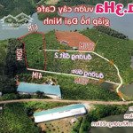 1.3ha đất vườn giáp hồ đại ninh - ninh gia, đức trọng