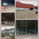 Cho thuê 10.000m2 xưởng tiêu chuẩn, giá rẻ phú thọ. liên hệ: 0906218216