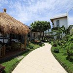 Cho thuê villa sân vườn gần biển phạm văn đồng