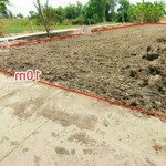 Nền thổ 10 x 35m || 377m2 thổ đã san lấp cách nhựa 300m