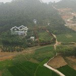 Chính chủ cần bán nhanh diện tích: 1922m2 thổ cư: 400m2 lô góc 2 mặt đường, đông xuân, quốc oai, hn