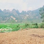 Bán đất liên sơn, lương sơn, hoà bình 3176m2 view siêu đẹp