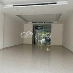 Cho thuê shophouse trục đường lê trọng tấn, kinh doanh sầm uất