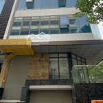 Cho thuê văn phòng, mặt bằng kinh doanh, dt: 50m2, p. lê hữu phước