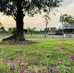 Bán đất sổ hồng, giá tốt và vị trí đẹp tại kdc làng sen việt nam gọi ngay là có giá tốt nhất để mua