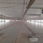 Cho thuê kho xưởng dg dương công khi hóc môndiện tích10.500m2 pccc 420 triệu