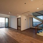 Bán gấp! căn penthouse duplex duy nhất còn lại đẹp nhất tại dự án hinode city, 201 minh khai