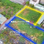 ️️1000m²_ vườn lài nối dài_ 2 lô gấp bán