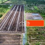 đất vườn giá rẻ ven sài gòn(50km)khu vực tiềm năng phát triển mạnh