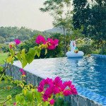 Cần nhượng lại khuôn viên villa tại hoà sơn - lương sơn - hoà bình siêu đẹp giá đầu tư.