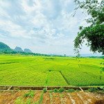 Chính chủ bán gần 1000m full thổ cư view cánh đồng bao la giá 7xxtr