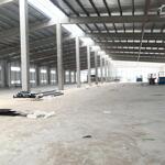 Cho thuê xưởng dt 6300m2, 18000m2 cụm cn thuận thành3, bắc ninh.