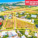 Thanh khoản 05 lô trúng đấu giá, đường 8m - 21m, đường biển liên hương